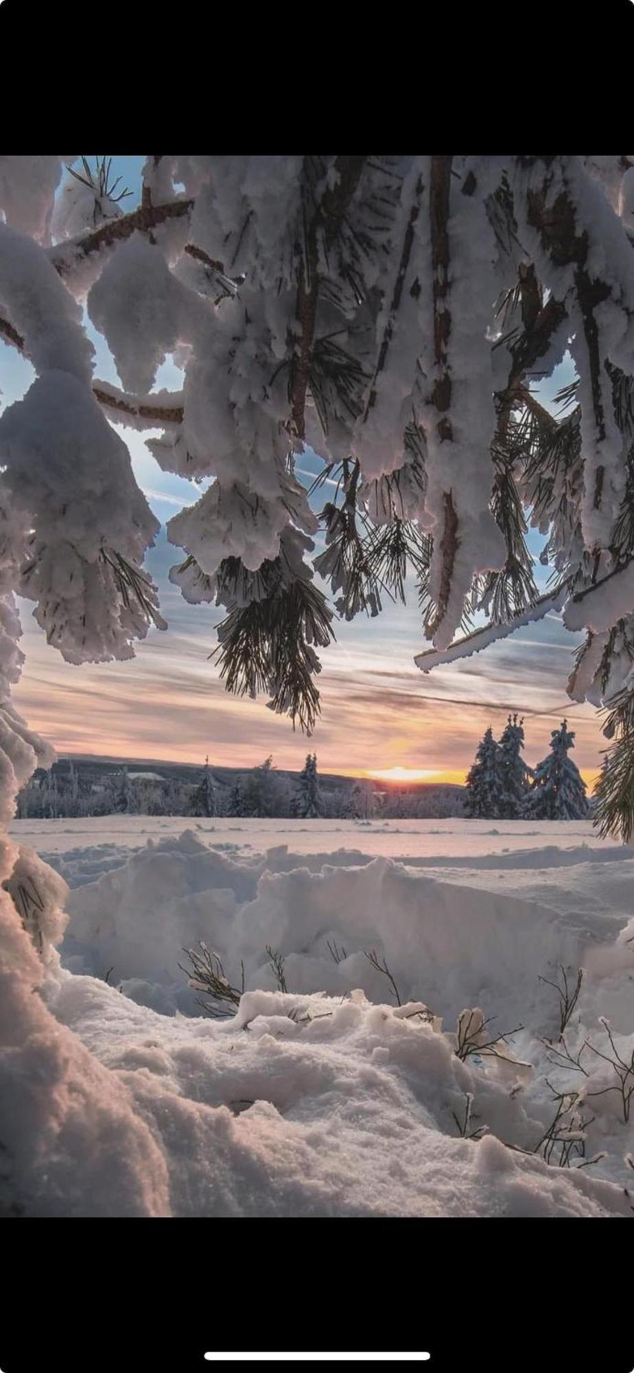 Haus Konthe, Appartement Winterberg Bagian luar foto